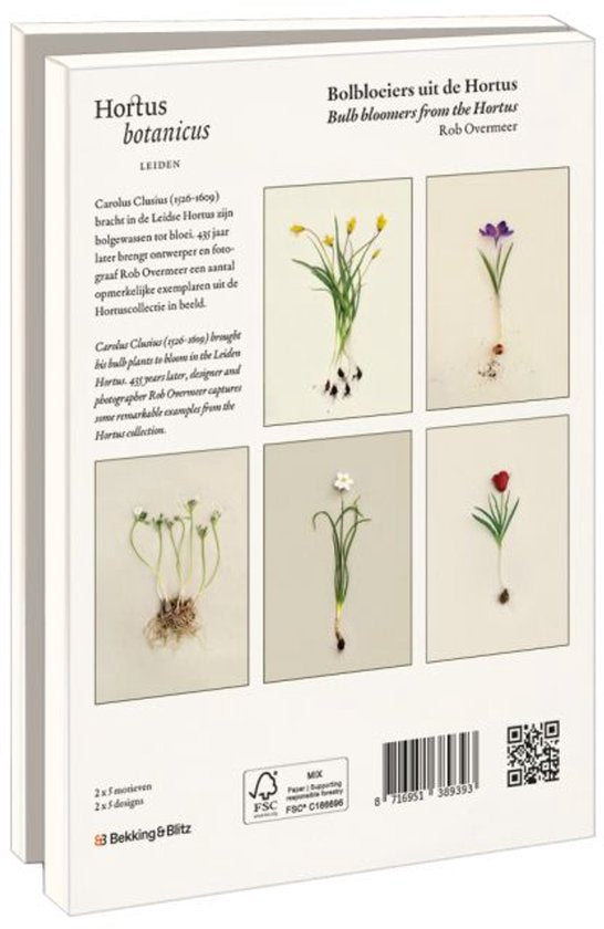 Kaartenmapje met env, groot: Bolbloeiers uit de Hortus