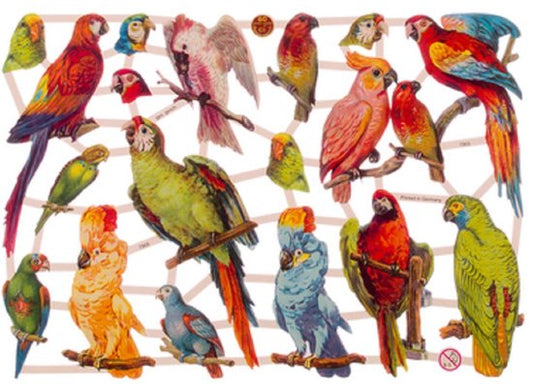 Poëziealbum - 16x16 - S3 - Paars - Vogels - met 6 vellen Poëzieplaatjes