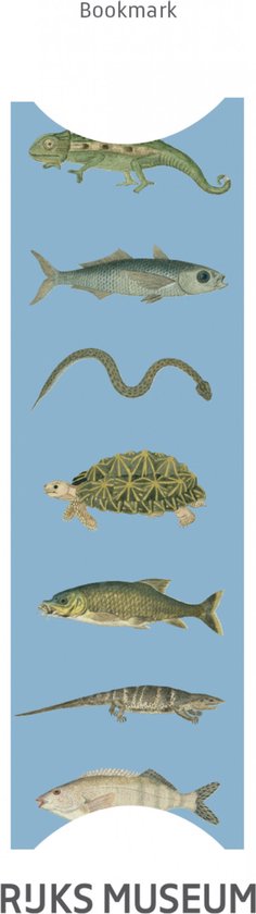 Kaweco - Vulpenset - 4delig - Vulpen Sport Skyline Macchiato Fountain Pen - Extra Fine - Nostalgic Octagonal Clip Chrome - Doosje zwarte vullingen - Bekking & Blitz Boekenlegger - nr24