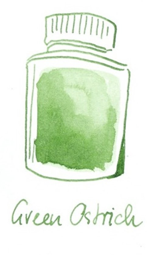 Glazen dip pen set in doosje - Groen - Potje Octopus inkt green ostrich