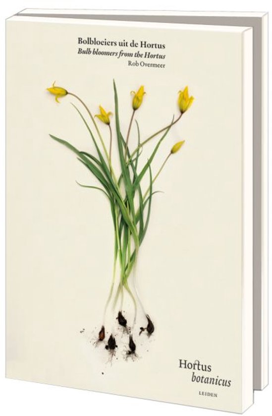 Kaartenmapje met env, groot: Bolbloeiers uit de Hortus