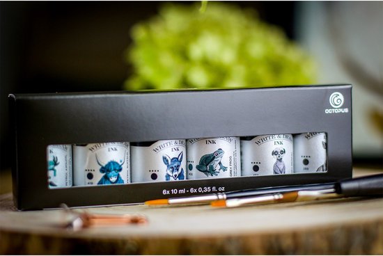 Octopus Write and Draw Ink Set MOUNTAIN, watervaste inkt voor schrijven en tekenen, kalligrafie inkt, lichtechte tekeninkt voor vulpen, glaspen, penseel, 6 x 10 ml