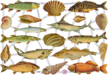 Poëziealbum - 16x16 - S3 - Paars - Vogels - met 6 vellen Poëzieplaatjes