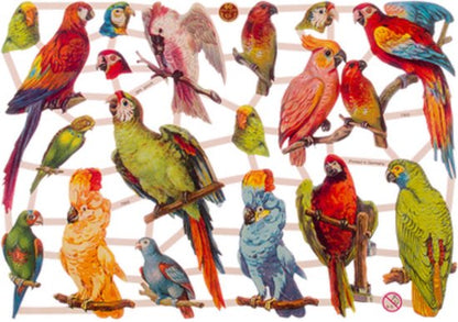 Poëziealbum - 16x16 - Blauw - S7 - Vogels - met 5 vellen Poëzieplaatjes - Versjes - Gedicht - Cadeau - Sint - Geschenk - Knutselen - Hobby - Creatief - Scrapbook - Poezie