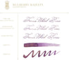 Ferris Wheel Press - schrijfinkt - klein flesje - Everyday Collection | Mulberry Majesty - Ink 10ml