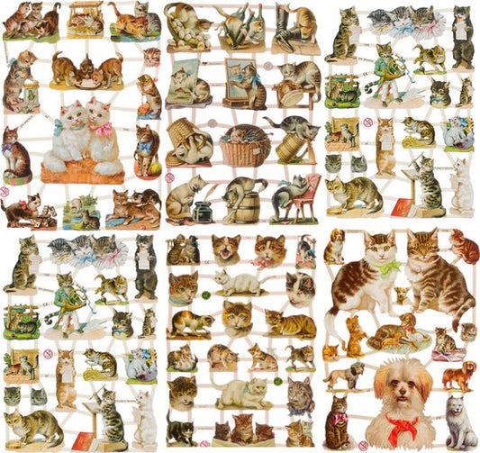 Poëzieplaatjes - 6 VELLEN - Poezen - Honden - Nostalgisch - Vintage look - Poëziealbum - hobby - creatief - bulletjournaal - vriendenboek - dagboek - decoupage - knutselen - scrapbook