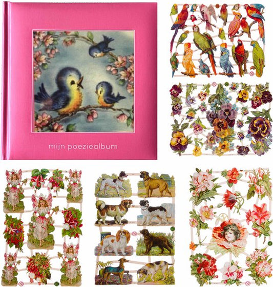 Poëziealbum - 16x16 - Roze - S7 - Vogels - met 5 vellen Poëzieplaatjes - Versjes - Gedicht - Cadeau - Sint - Geschenk - Knutselen - Hobby - Creatief - Scrapbook - Poezie