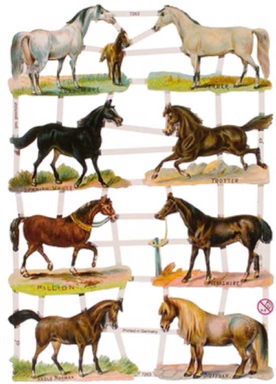 Poëzieplaatjes - 6 vellen - plaatjes - hobby - creatief - decoupage - knutselen - scrapboek