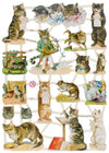 Poëzieplaatjes - 6 vellen - plaatjes - hobby - creatief - decoupage - knutselen - scrapboek - met KATTEN - BOERDERIJDIEREN - BLOEMEN - VARKENTJES - HONDEN - VOGELS
