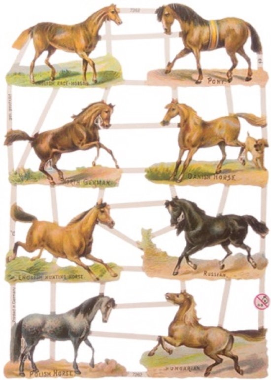 Poëzieplaatjes - 9 vellen - plaatjes - hobby - creatief - decoupage - knutselen - scrapboek