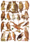 Poëzieplaatjes - Serie 1R - 6 vellen - plaatjes - hobby - creatief - decoupage - knutselen - scrapboek - met ENGELEN - BLOEMEN - VOGELS -UILEN