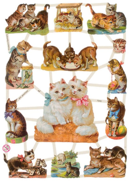 Poëzieplaatjes - 6 vellen - plaatjes - hobby - creatief - decoupage - knutselen - scrapboek - met BOERDRIJDIEREN - POEZEN - VLINDERS - KATTEN - BLOEMEN