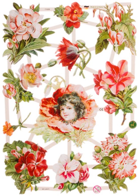 Poëzieplaatjes - Serie 1R - 6 vellen - plaatjes - hobby - creatief - decoupage - knutselen - scrapboek - met ENGELEN - BLOEMEN - VOGELS -UILEN