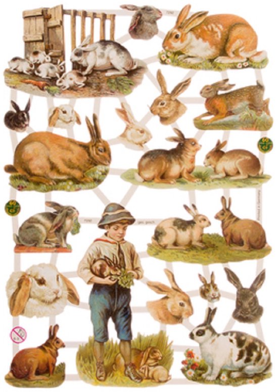 Poëzieplaatjes - 6 vellen - plaatjes - hobby - creatief - decoupage - knutselen - scrapboek - met VOGELS - VLINDERS - BLOEMEN - HONDJES