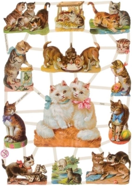 Poëzieplaatjes - 6 vellen - Poezen, Bloemen en Vogels. - 1 - Leuk voor o.a. Poëziealbum, bulletjournal, scrapbooking en het maken van kaarten