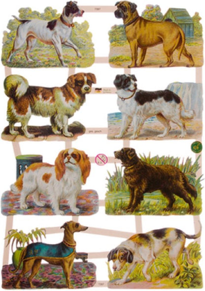 Poëzieplaatjes - 6 vellen - plaatjes - hobby - creatief - decoupage - knutselen - scrapboek met Vogels - Honden - Bloemen - Vlinders