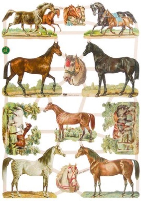 Poëzieplaatjes - 6 vellen - Poezen, Honden, Vissen, Vogels, Paarden, Konijnen.- Dieren Plaatjes - Leuk voor o.a. Poëziealbum, bulletjournal, scrapbooking en het maken van kaarten